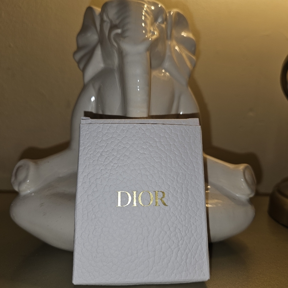 230 Dior bracelet /necklace with two charms